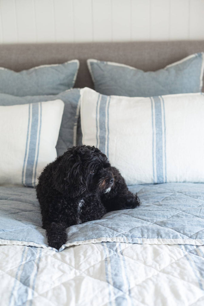Black dog lying on a bed with striped pillows