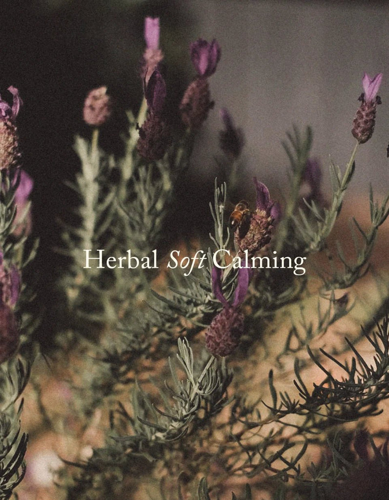 MAE: Lavender/ Mint Room Spray - Salt Living
