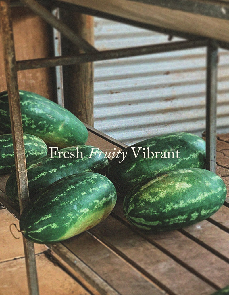 PIP: Watermelon/ Cucumber/ Basil Candle - 250g - Salt Living